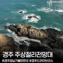 세계냉난방 | 경주 가볼만한곳 '경주양남주상절리 전망대' 아기랑 다녀온 솔직후기