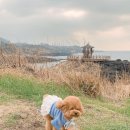 닭머르해안길 이미지