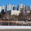 신탁행정사사무소 이미지