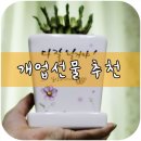 낭만상점 이미지
