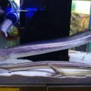 제일백반 이미지