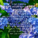 염광어린이집 | 노원 초안산 수국축제 수국동산 가는길과 주차장