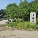 치악산둘레길 9코스 자작나무길 | [공지] 치악산둘레길 9코스 자작나무길