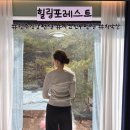 힐링펜션 | 원주신상펜션 힐링포레스트 후기 치악산펜션 마운틴뷰 감성숙소 추천