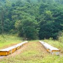 단산농장 이미지