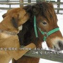 담대함과 결단력이 필요한 올림픽 선수들에게 권하는 임읍혈! 이미지