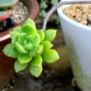 금강행정사 사무소 이미지