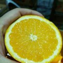 퓨어스팩 블랙라벨 고당도 오렌지 특가판매~~~18킬로 88과 5만원!!!! 이미지