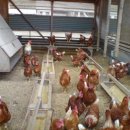 평사농장 이미지