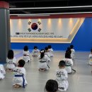 태비바른아이태권도장 | [공지] [키즈석사체육관] 강동구 태권도장 추천, 대명초·명원초 근처에서 체력과 인성, 다이어트까지...