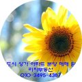 루나갤러리공인중개사사무소 이미지
