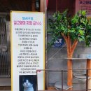 장성초등학교급식소