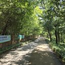 편백숲,쉼 이미지