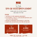 봄디자인 | 배너의뢰 - 멍하니봄 인스타그램 이벤트 피드 디자인 작업 후기