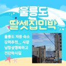 내사랑민박 | 울릉도 숙소 | 내 사랑 &#34;딸셋집민박&#34; 너무 깨끗하고 넓고 위치도 좋은데 저렴하기까지? / 가격, 숙박비