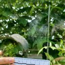 동박새우는집 이미지