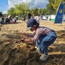 지에스25양산스타점 | 2025 양산국화축제 &amp; 양산에그야페스타(10/25방문)