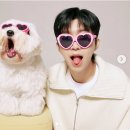 멋진 기록의 남자 만들어 드려요!^^1등 갑시당!( 끌올 ) 이미지