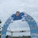 과천OMG 네이버블로그