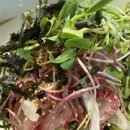 회사랑 | [문정동 맛집] 가든파이브 점심 추천! 회덮밥과 알탕이 일품인 ‘회사랑’ 후기 🐟🍲