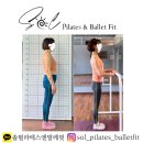 솔필라테스앤발레핏