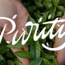 마일농장 이미지