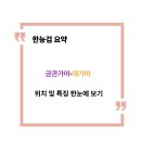 가야사 | 한능검 가야사 완벽 정리: 금관가야 vs 대가야 위치와 멸망 시기 비교