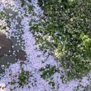 서호호근로 이미지