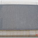 미내다리 이미지