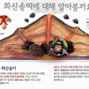이니스프리신 이미지