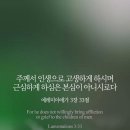 본심