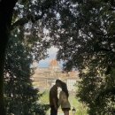 피렌체 | 이탈리아 피렌체 스냅 후기 / 계영사진