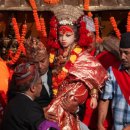 자트라(JATRA) Daum카페