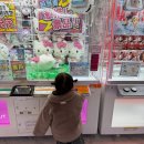 돈부리맨 | 아이랑 삿포로 겨울 여행 스스키노 관람차, 스시돈부리 카이센동 후기