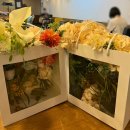 WEDDING: 11/레스스튜디오 웨딩촬영 플라워디렉팅 천안 불당동 &#39;피움&#39; 대만족 후기