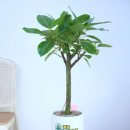 용남스크린골프 이미지