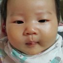 지유재 이미지