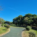 제주특별자치도지체장애인협회 서귀포시지회 이미지