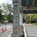 대성사문구 네이버블로그