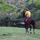 순천승마장 이미지