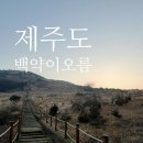 오름 | 제주 동쪽 오름 추천, 제일 핫한 백약이오름 솔직 후기