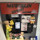 오금로247(건양빌딩) 이미지