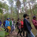 친환경엑스포로1 이미지