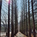 그린나무영월 이미지