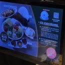 서울 쌀국수 러버가 픽한 성수 서울숲 맛집|브이앤디 성수본