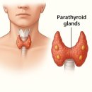 부강초등학교 | 四字成語 총정리 <ㅂ> 397 부가철근~부강포구
