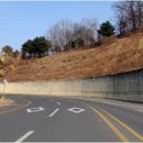 금산재래시장거리 이미지