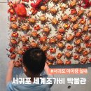 세계조가비박물관 | 서귀포 아이랑 갈만한곳 천지연폭포 근처 볼거리 실내 세계조가비박물관