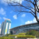 대교푸르름Ⅱ | 부산 여행 Ⅲ] 02# 부산 시티투어 버스: 상쾌한 바닷바람 맞으며 달려보자! (부산항대교, 광안리 해수욕장)