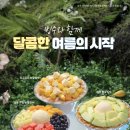 하이빙수 이미지